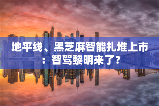 地平线、黑芝麻智能扎堆上市：智驾黎明来了？