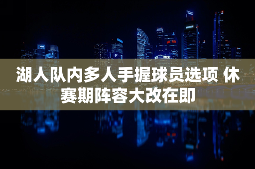 湖人队内多人手握球员选项 休赛期阵容大改在即