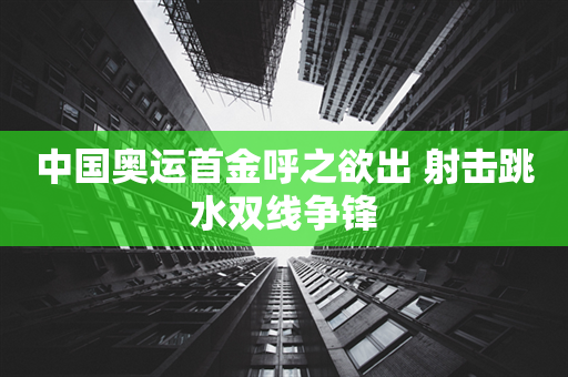 中国奥运首金呼之欲出 射击跳水双线争锋