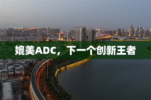 媲美ADC，下一个创新王者