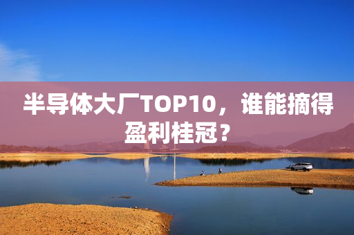 半导体大厂TOP10，谁能摘得盈利桂冠？