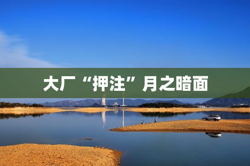 大厂“押注”月之暗面