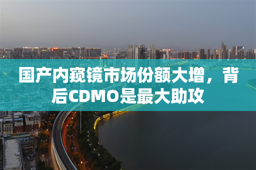 国产内窥镜市场份额大增，背后CDMO是最大助攻