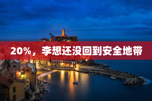 20%，李想还没回到安全地带