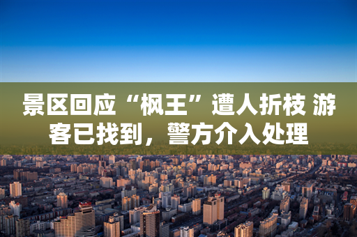 景区回应“枫王”遭人折枝 游客已找到，警方介入处理