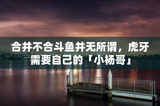 合并不合斗鱼并无所谓，虎牙需要自己的「小杨哥」