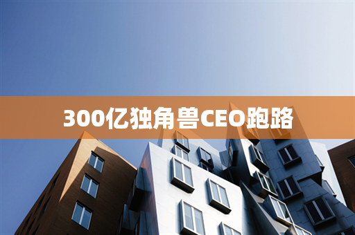 300亿独角兽CEO跑路