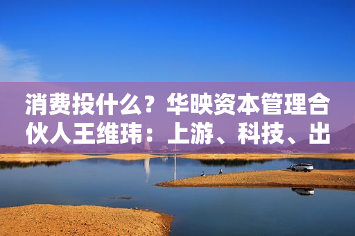 消费投什么？华映资本管理合伙人王维玮：上游、科技、出海