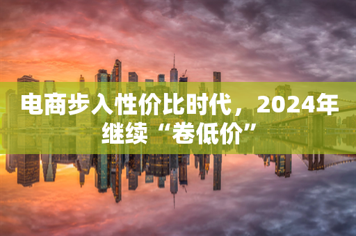 电商步入性价比时代，2024年继续“卷低价”