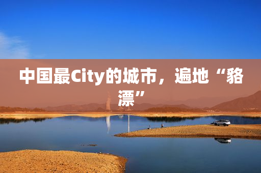 中国最City的城市，遍地“貉漂”