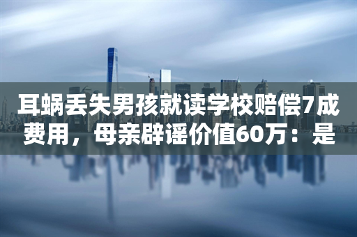 耳蜗丢失男孩就读学校赔偿7成费用，母亲辟谣价值60万：是治疗总费用 