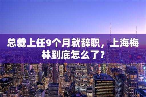 总裁上任9个月就辞职，上海梅林到底怎么了？