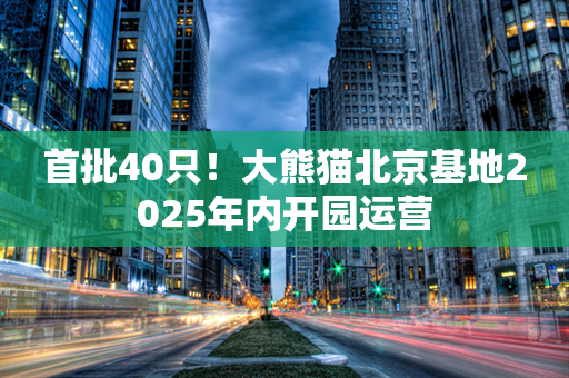 首批40只！大熊猫北京基地2025年内开园运营