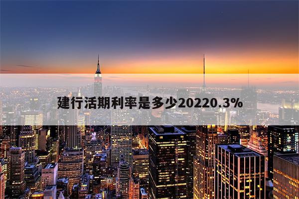 建行活期利率是多少20220.3%